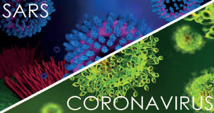 Pomagamy naszym członkom w walce z SARS CoV-19! Specjalna oferta dla wszystkich członków ZZPF!